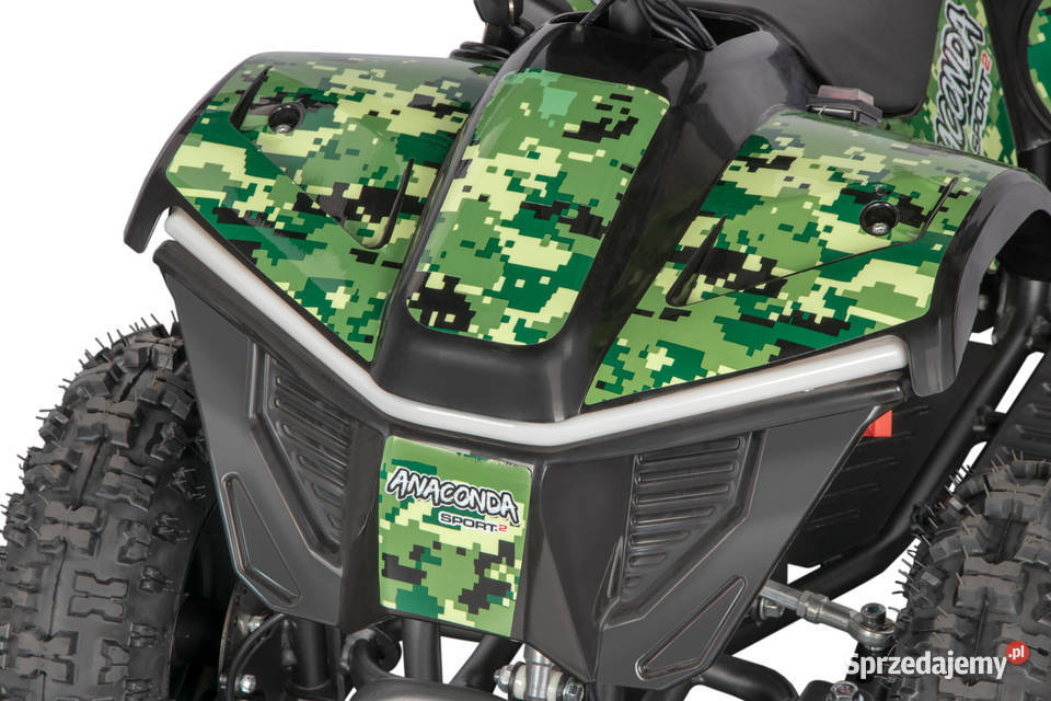 Anaconda VX 1000W 36V 12Ah Lithium Lublin