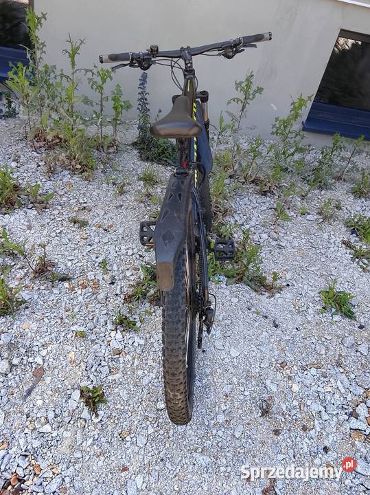 Rower Specjalized Leszno