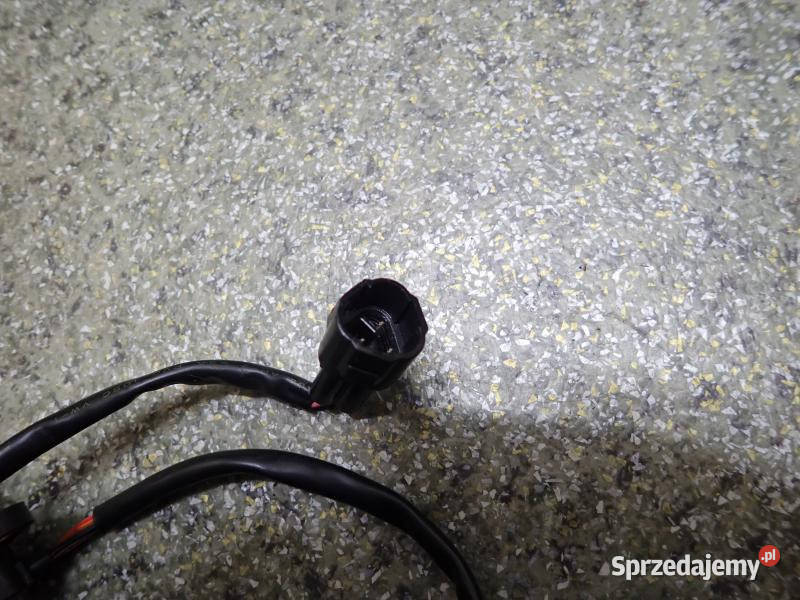 CZUJNIK IMPULSATOR TRIUMPH SPRINT 1050 05R Strzelce Krajeńskie