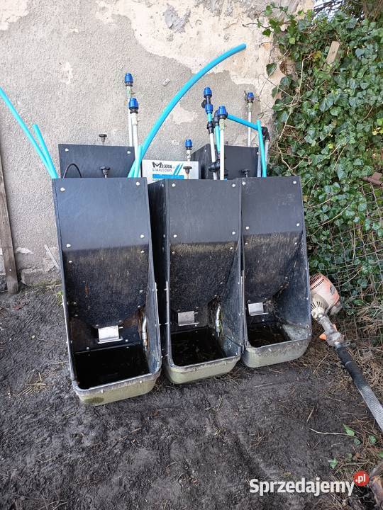 Sprzedam 6 paśników do świn woda plus pasza