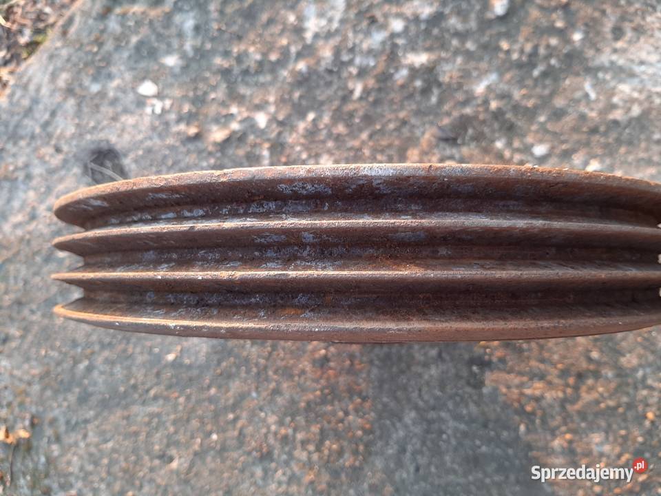 Koło pasowe łódzkie