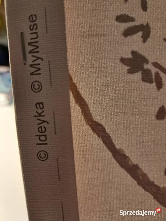 Obraz na płótnie sylwetka dziewczyny Obrazki i obrazy Łódź sprzedam