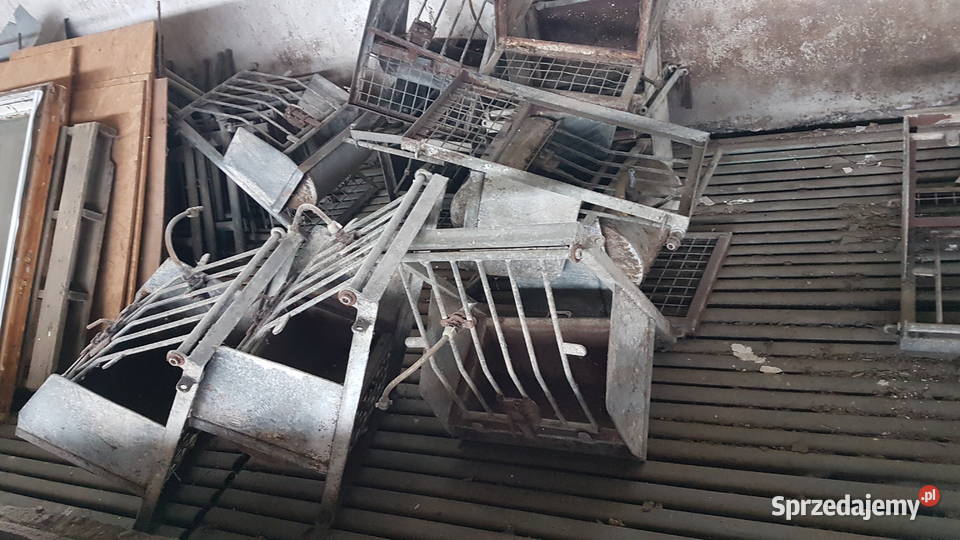 wygrodzenia kojce koryta świń