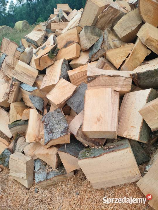 Drewno kominkowe i opalowe Chojna sprzedam