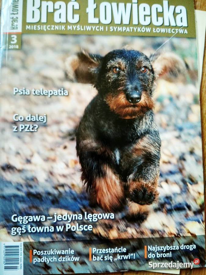 Brać łowiecka psia telepatia unikatowe prezenty Warszawa sprzedam