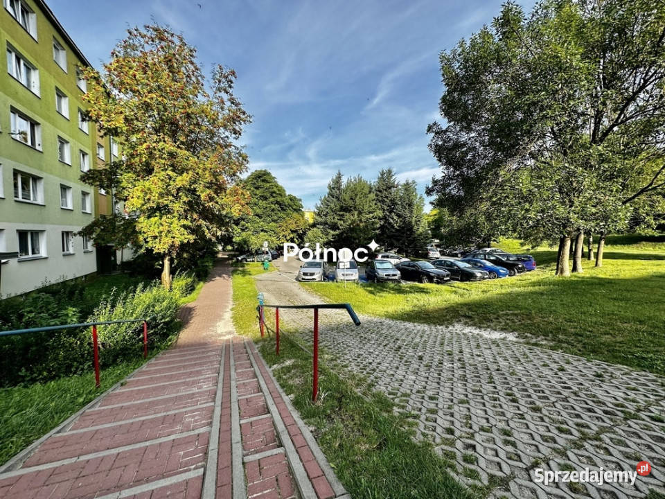 Ogłoszenie mieszkanie Chełm 366m 2 pokojowe Wynajem