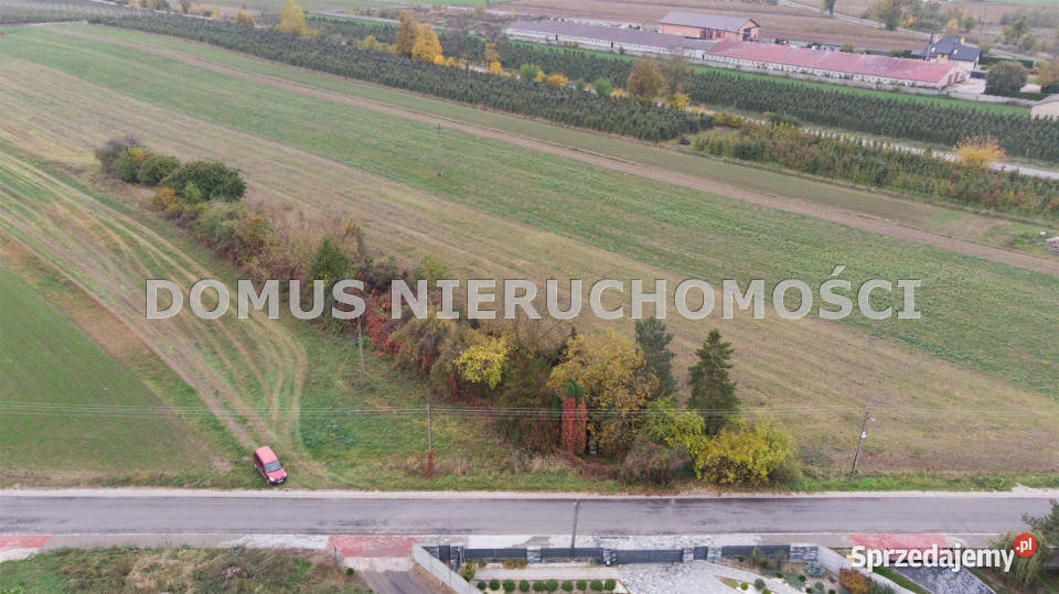 sprzedaży gruntu 4300 metrów Jeżów asfalt sprzedam