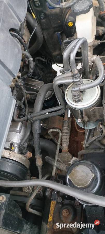 Hyundai Terrcan 29 CRDI hak Jerzmanowice