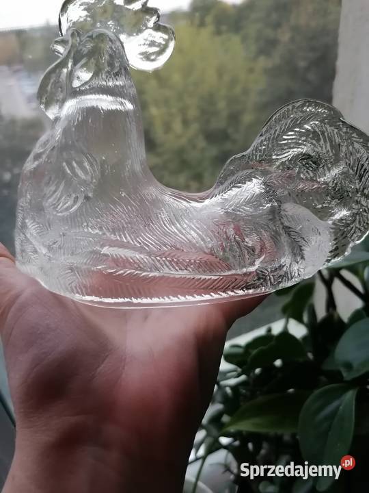 Kogut bombonierka z Ząbkowic Mielec