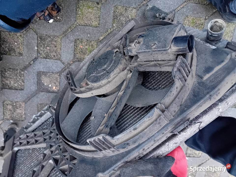 Chłodnica Wnlentylator Transit 22 TDCI Poznań