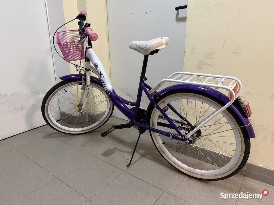 Rowerek dziecięcy damskistan