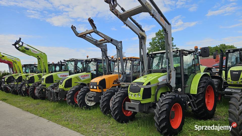 Claas Celtis 446 RX TUR Gruntowice