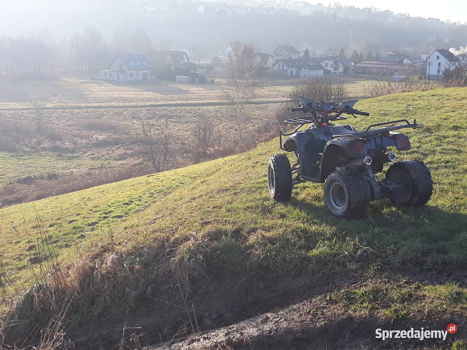 Quad Terenowy 125 cc BMW remoncie BMW Żywiec