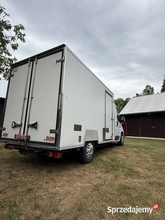 Fiat Ducato 23 chłodnia 2017 Stalowa Wola