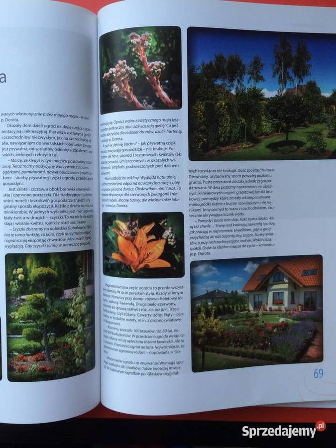 2221 Szczecin W Kwiatach