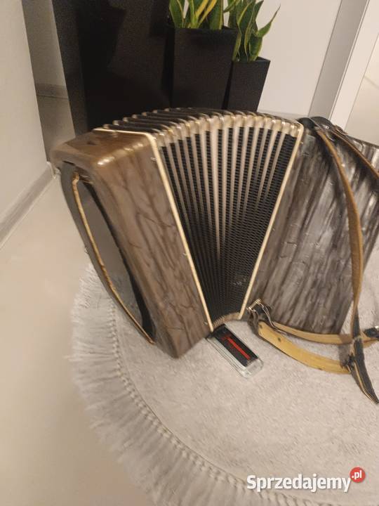 Akordeon victoria 80 basów Dębica
