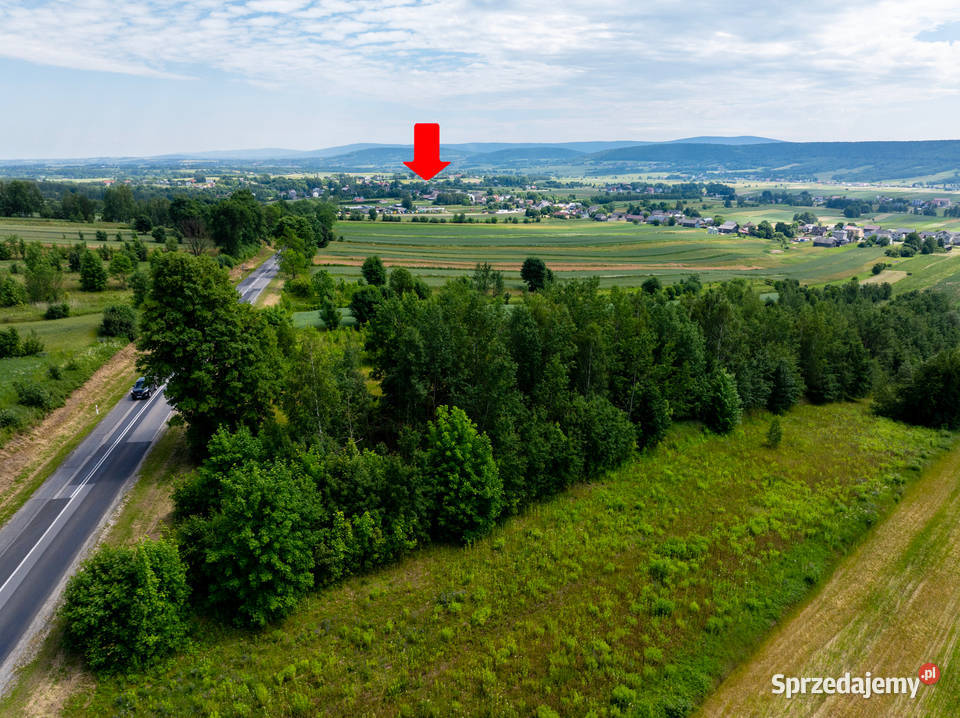 Działka Wzdół Kolonia Bodzentyn 30 Kielc 6100m2 świętokrzyskie