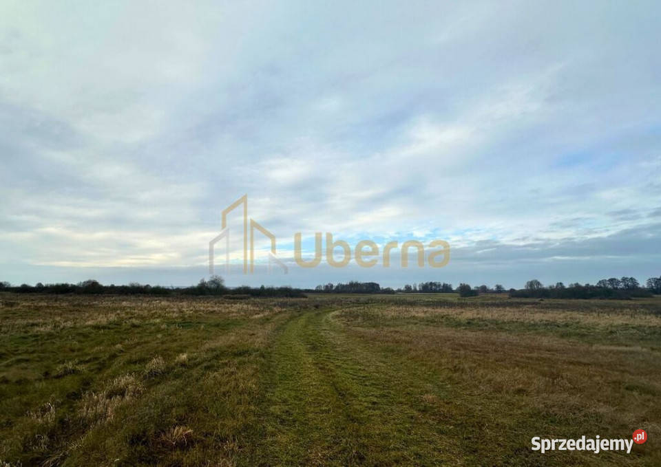 Działka rolna GmGoleniów na sprzedaż Komarowo