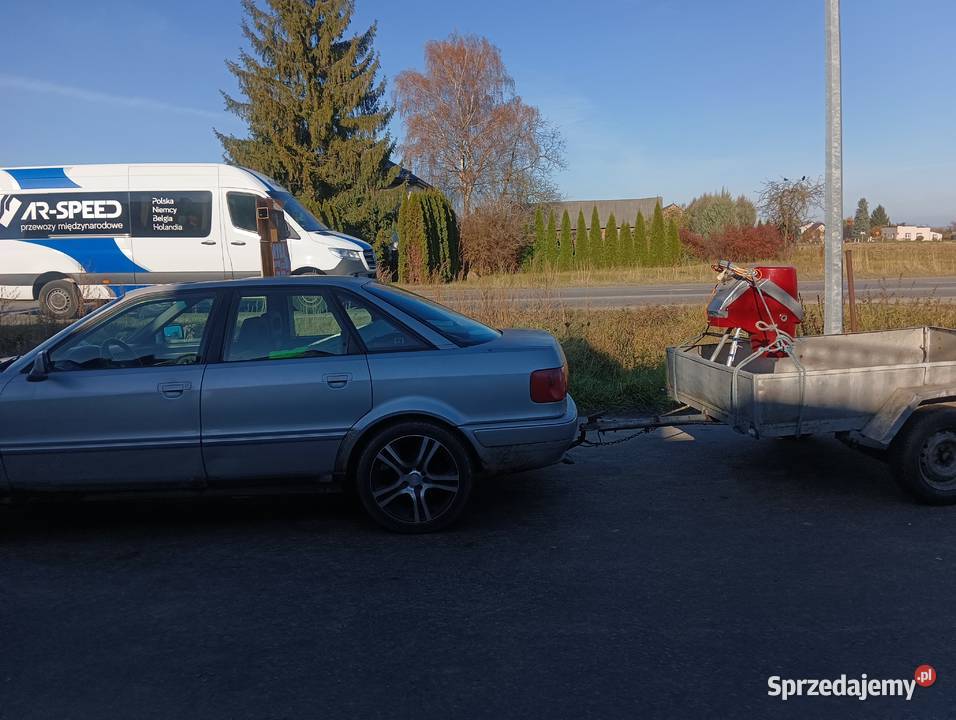 Porządki na działce i w ogrodzie Zamość