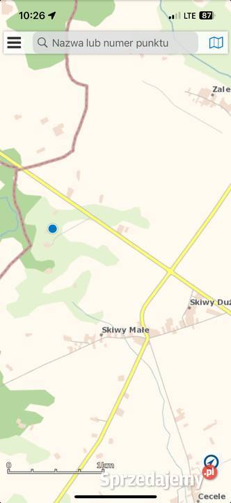 Sprzedam drewno na pniu Skiwy Małe