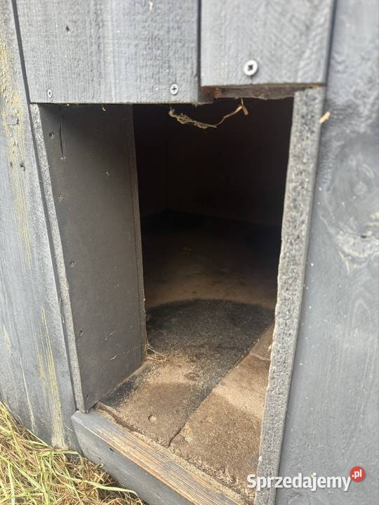 Buda psa duża Gorzów Wielkopolski