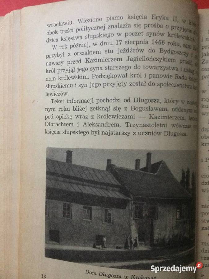 645 Wychowanek Długosza Szczecin sprzedam