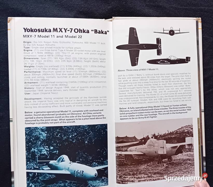 German Italian and Japanese Fighters of WW II wielkopolskie Koźminek