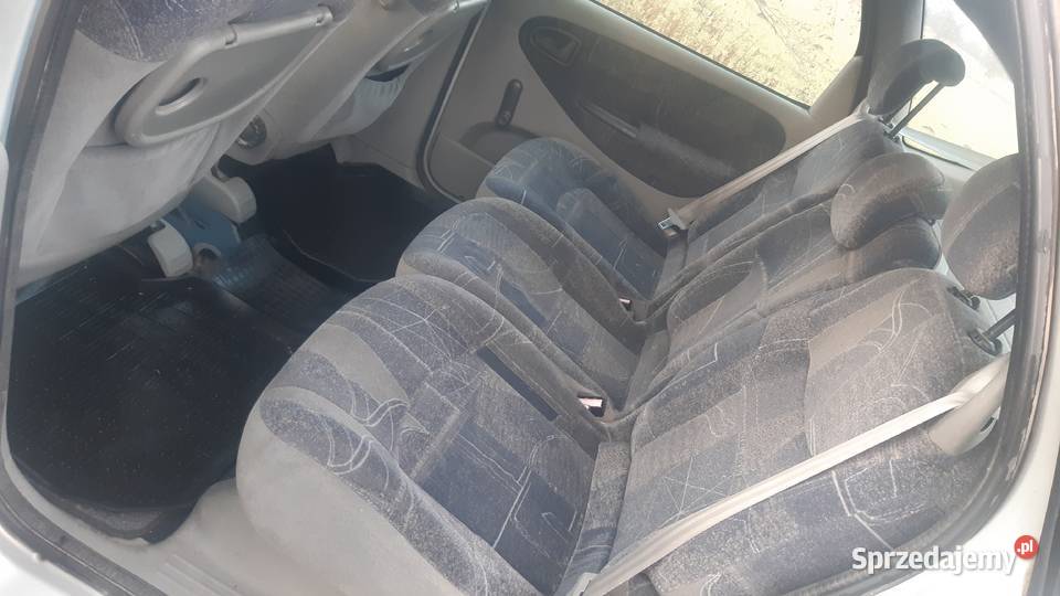 Renault Scenic Turobin