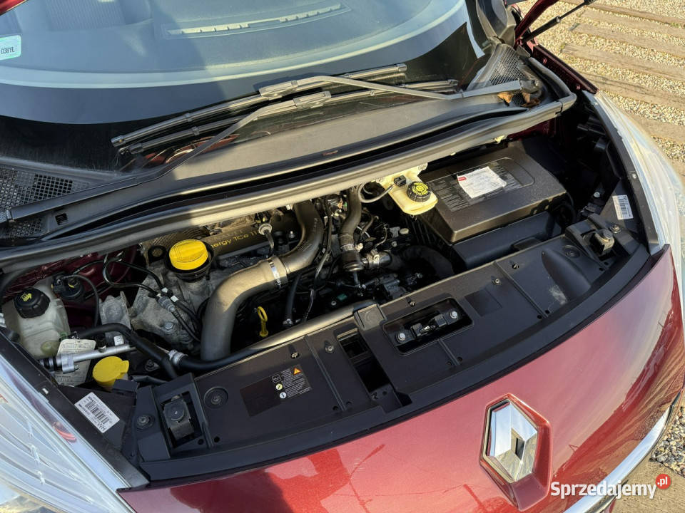 Renault Scenic panoramadachledyalunavi III Dąbrowa