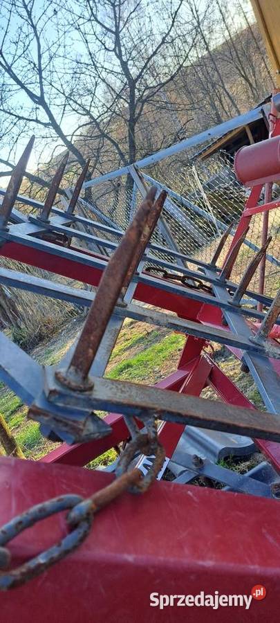 Brony 3 fi 16 Bukowiec