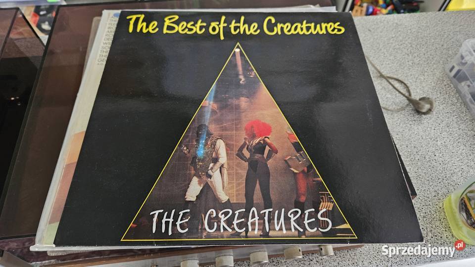 Różne płyty CD Winylowe i kasety z muzyką CD Grodków sprzedam