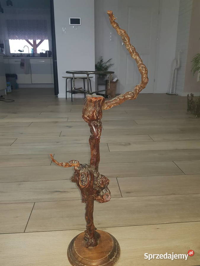 Kwietnik z korzenia winorośli