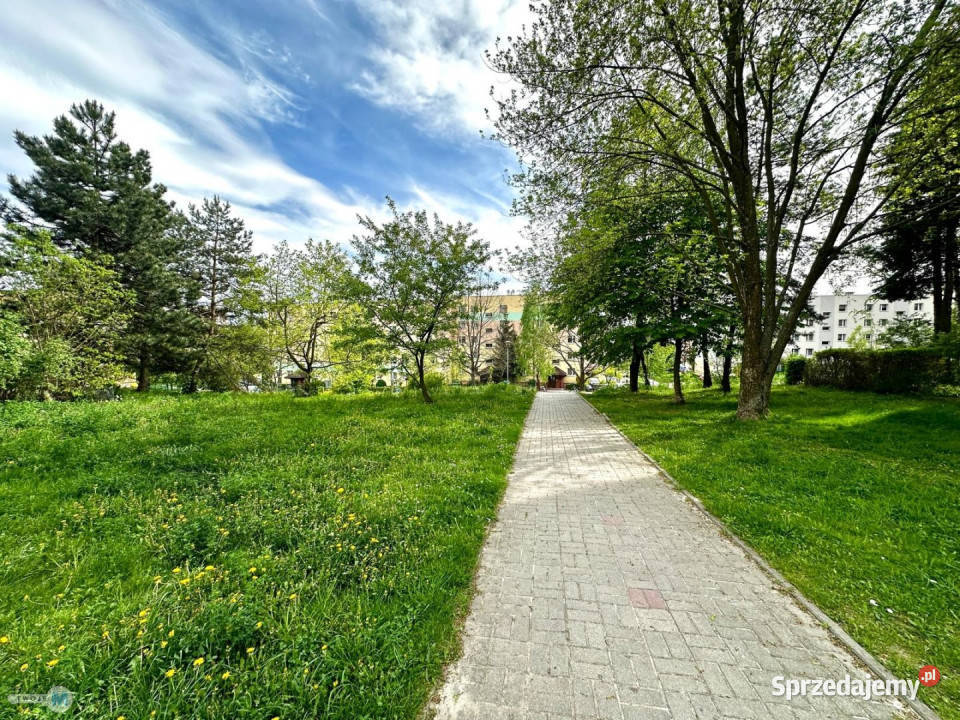 sprzedaży mieszkania 5995m2 3 pokoje Kielce 59.95m2 Sprzedaż świętokrzyskie
