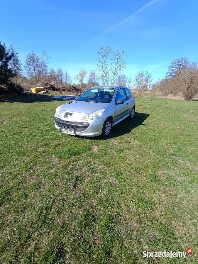 Peugeot 206 plus 11 Polkowice