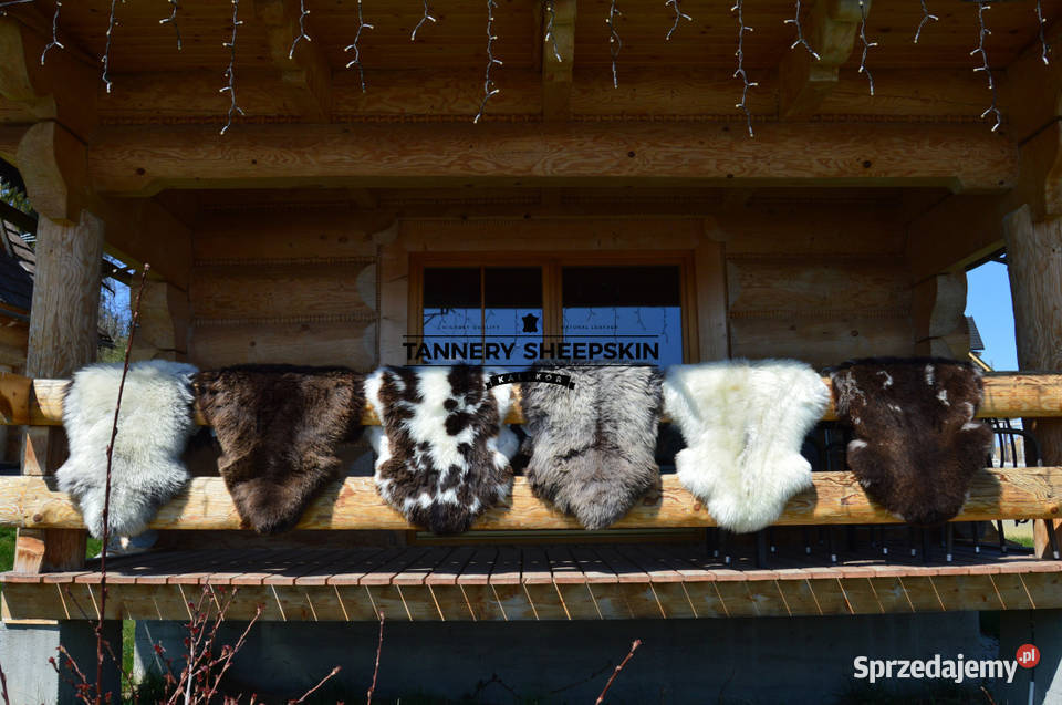Skóry Owcze w Kolorach Naturalnych Dekoracje i ozdoby Szaflary sprzedam