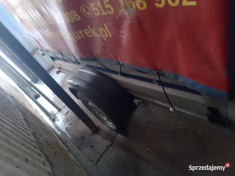 Przyczepka Wiola Toruń sprzedam