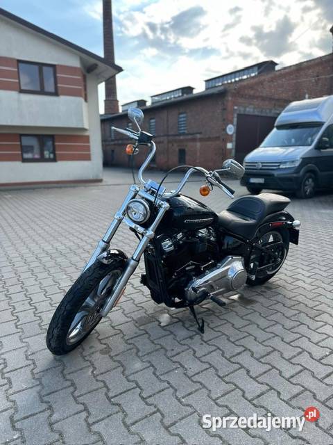 HarleyDavidson Softail Standard Grzebowilk sprzedam