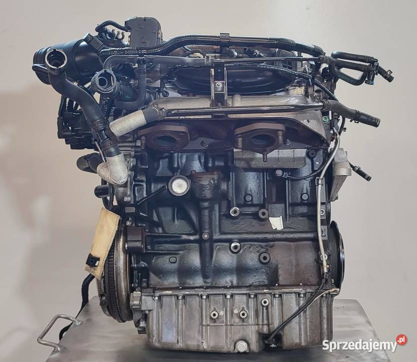 VW GOLF 4 SILNIK 28 V6 KOMPLETNY AUE AQP dolnośląskie