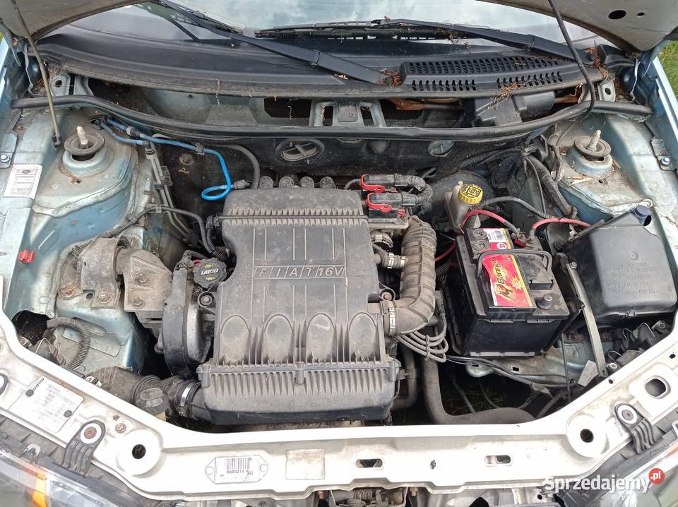 Fiat Punto 12 59 kW 2002 r dawca części Szklarka Myślniewska