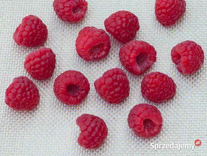 Mata do suszenia wędzenia pieczenia i innych