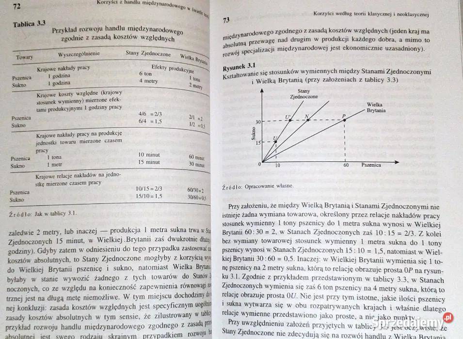 Międzynarodowe stosunki gospodarcze Adam Rok wydania 1999 Chełm
