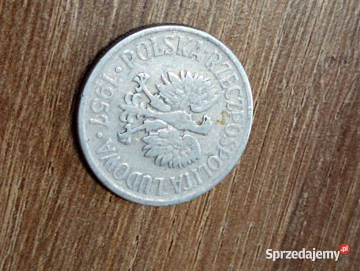 Sprzedam monete 50 gr 1957 r Numizmatyka Chełm