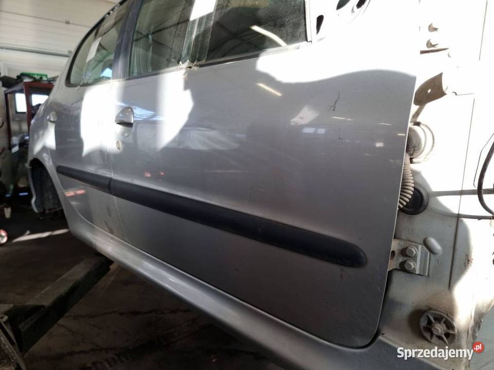DRZWI PRAWE PRZÓD PEUGEOT 206 Pozostałe sprzedam