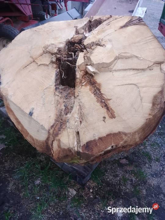 Plastry dębowe Bochnia sprzedam