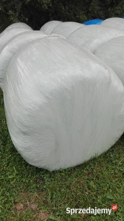 sianokiszonka z koniczyny Trawy, słoma sprzedam