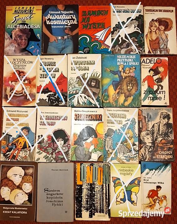 literatura młodzieżowa Bukowno