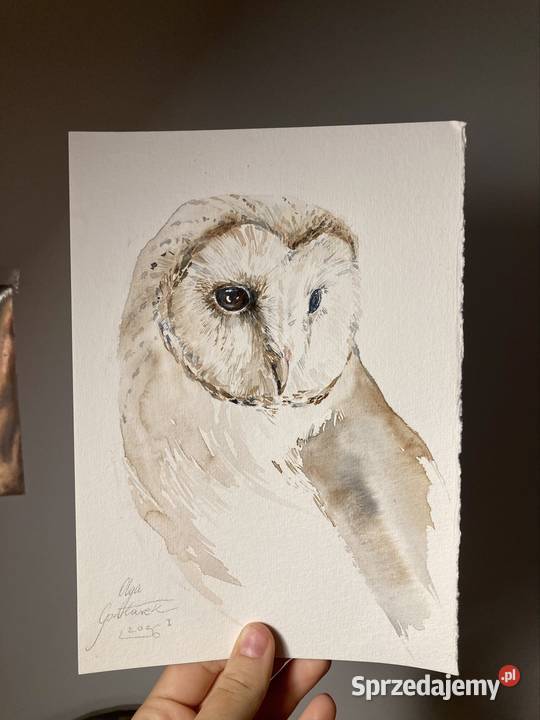 Akwarela sowa obraz Dekoracje i ozdoby