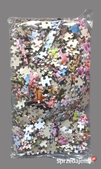 Castorland puzzle spacer w paryżu 1000 elementów Chrzanów