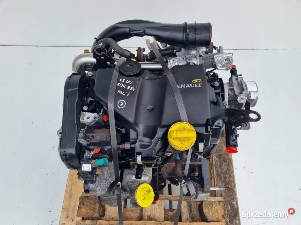 SILNIK BEZ OSPRZĘTU Renault Scenic III 15 DCI Rudka