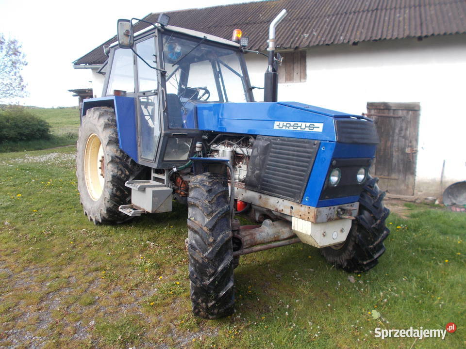 sprzedam ciągnik ursus 1204 Braniewo